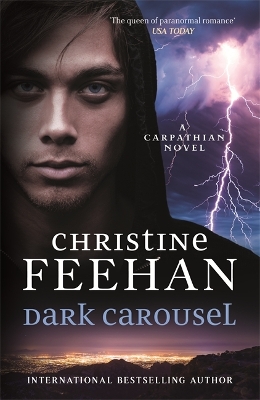 Dark Carousel book