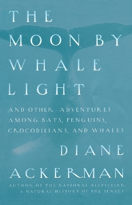 Moon by Whalelight book