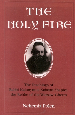 Holy Fire book