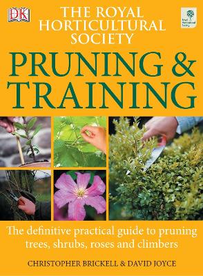 RHS Pruning and Training by Christopher Brickell