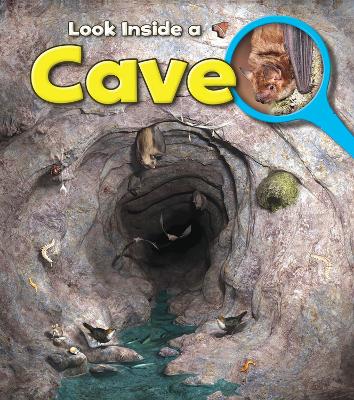 Cave book