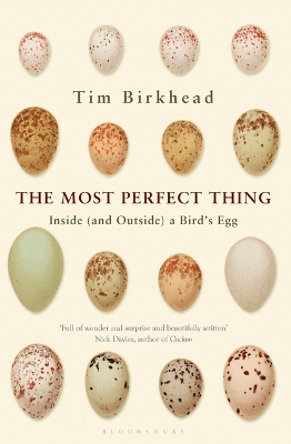 The Most Perfect Thing by Tim Birkhead