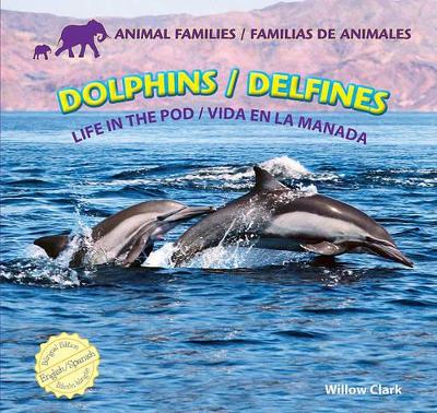 Dolphins/Delfines by Willow Clark