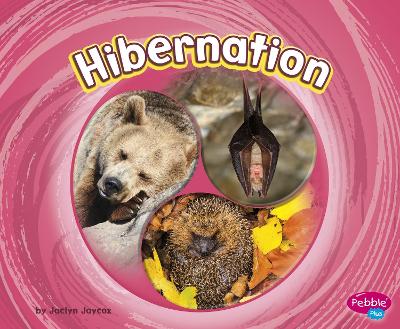Hibernation book