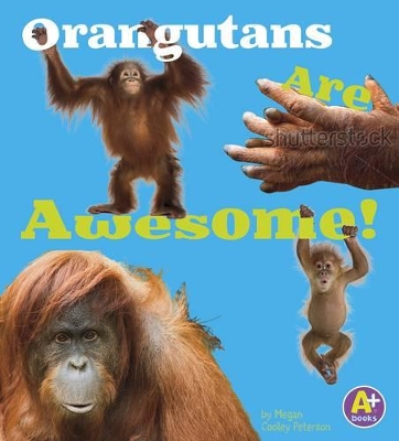 Orangutans are Awesome (Awesome Asian Animals) by Allan Morey