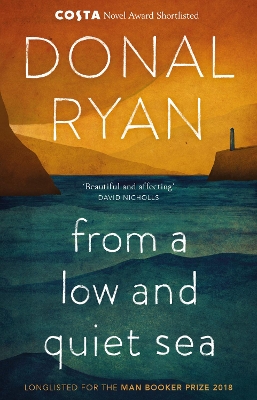From a Low and Quiet Sea: From the Number 1 bestselling author of STRANGE FLOWERS by Donal Ryan