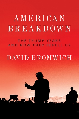 American Breakdown: The Trump Years and How They Befell Us book