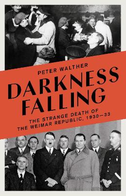 Darkness Falling: The Strange Death of the Weimar Republic, 1930-33 book