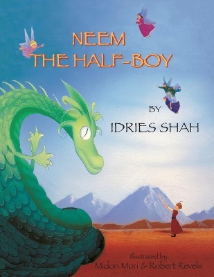 Neem the Half-Boy book