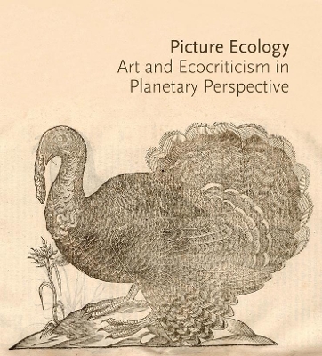 Picture Ecology: Art and Ecocriticism in Planetary Perspective by Karl Kusserow