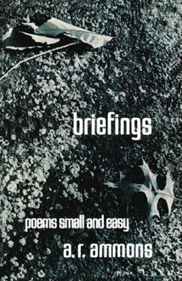 Briefings book