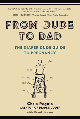 From Dude to Dad book