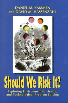 Should We Risk it? book