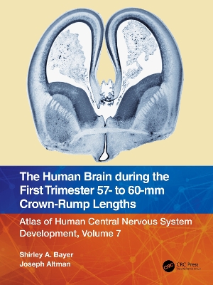 The Human Brain during the First Trimester 57- to 60-mm Crown-Rump Lengths: Atlas of Human Central Nervous System Development, Volume 7 by Shirley A. Bayer