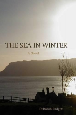 The Sea in Winter book