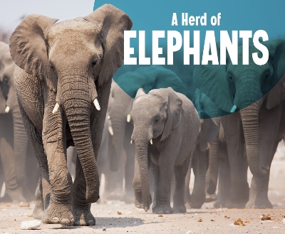 A Herd of Elephants by Amy Kortuem