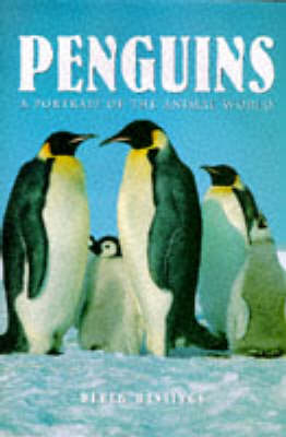 Penguins by Derek Hastings