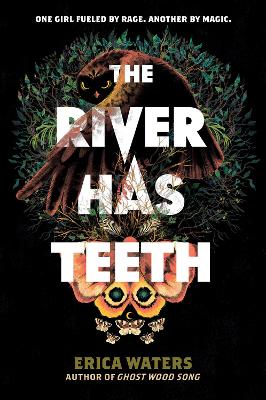 The River Has Teeth book