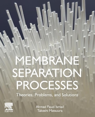 Membrane Separation Processes: Theories, Problems, and Solutions book