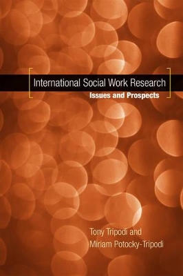 International Social Work Research: Issues and Prospects book