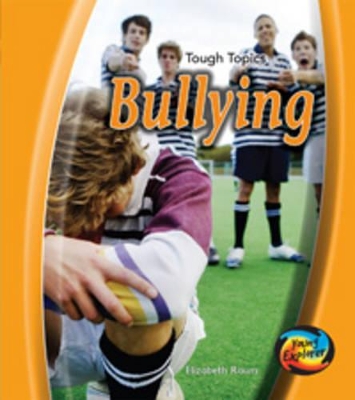 Bullying Big Book book