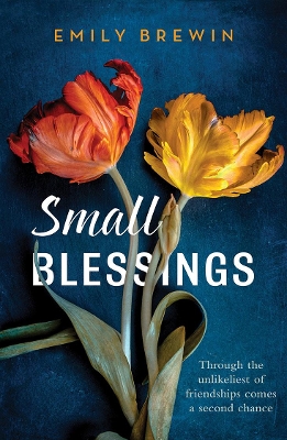 Small Blessings: Through the unlikeliest of friendships comes a second chance by Emily Brewin