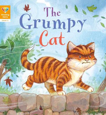 Reading Gems: The Grumpy Cat (Level 2) book