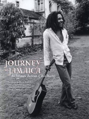 Soul Rebel book