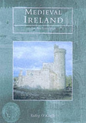 Medieval Ireland book