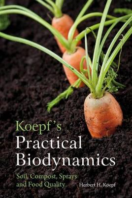 Koepf's Practical Biodynamics book
