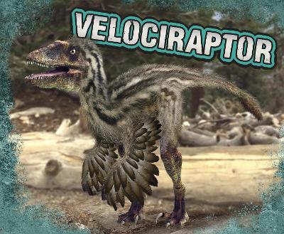 Velociraptor by Tammy Gagne