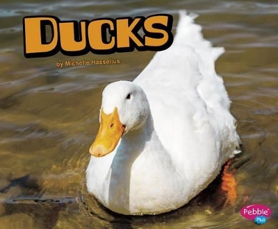 Ducks book