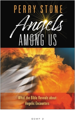 Angels Among Us: What the Bible Reveals About Angelic Encounters book