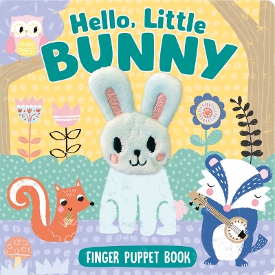 Hello, Little Bunny: Hello, Little Bunny book