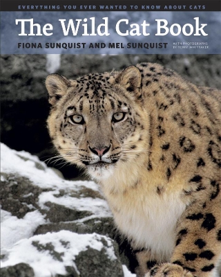 Wild Cat Book book