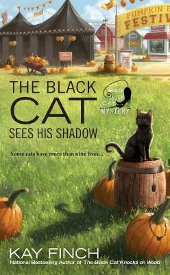 Black Cat Sees His Shadow book