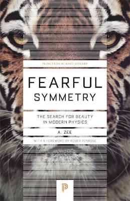 Fearful Symmetry book