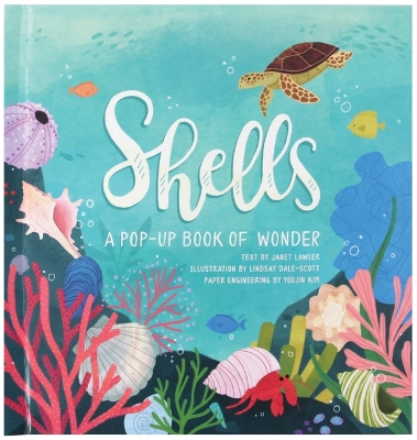 Shells: A Pop-Up Book of Wonder book