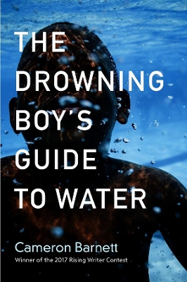 Drowning Boy's Guide to Water book