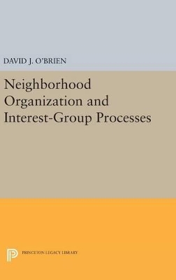 Neighborhood Organization and Interest-Group Processes book