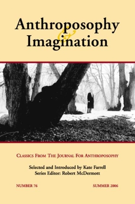 Anthroposophy & Imagination book