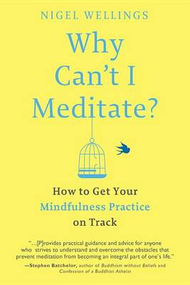 Why Can't I Meditate? book