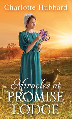 Miracles at Promise Lodge book