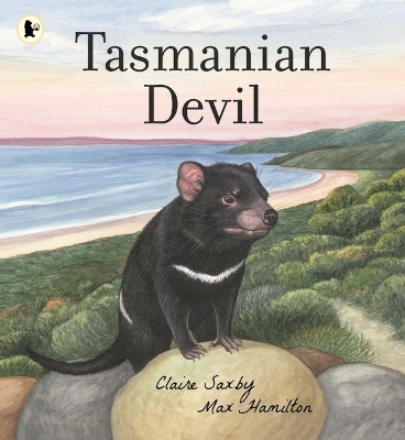 Tasmanian Devil book