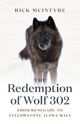 The Redemption of Wolf 302: From Renegade to Yellowstone Alpha Male book