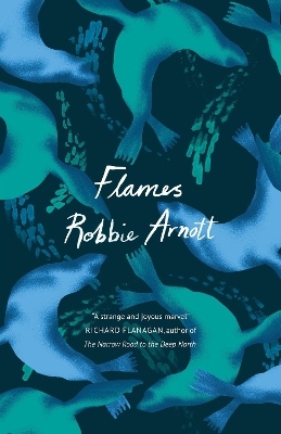 Flames: The wild debut novel you need to read this year book