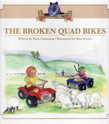 Broken Quad Bikes : Set of 4 book