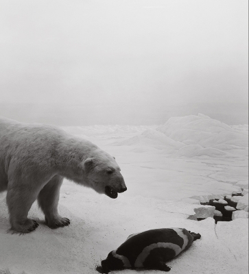 Hiroshi Sugimoto: Dioramas book