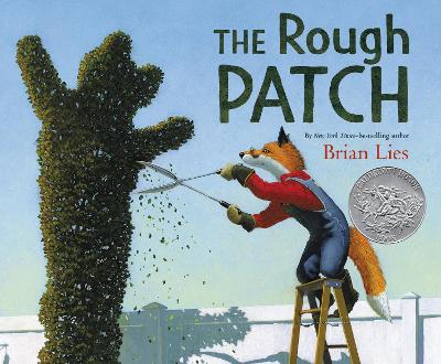 Rough Patch book