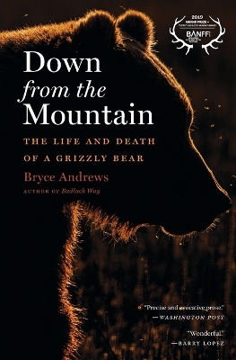 Down from the Mountain: The Life and Death of a Grizzly Bear book
